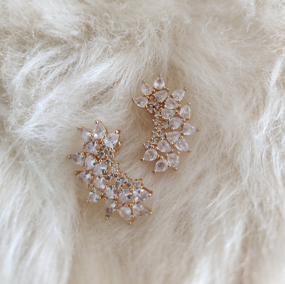 Anthropologie Earrings